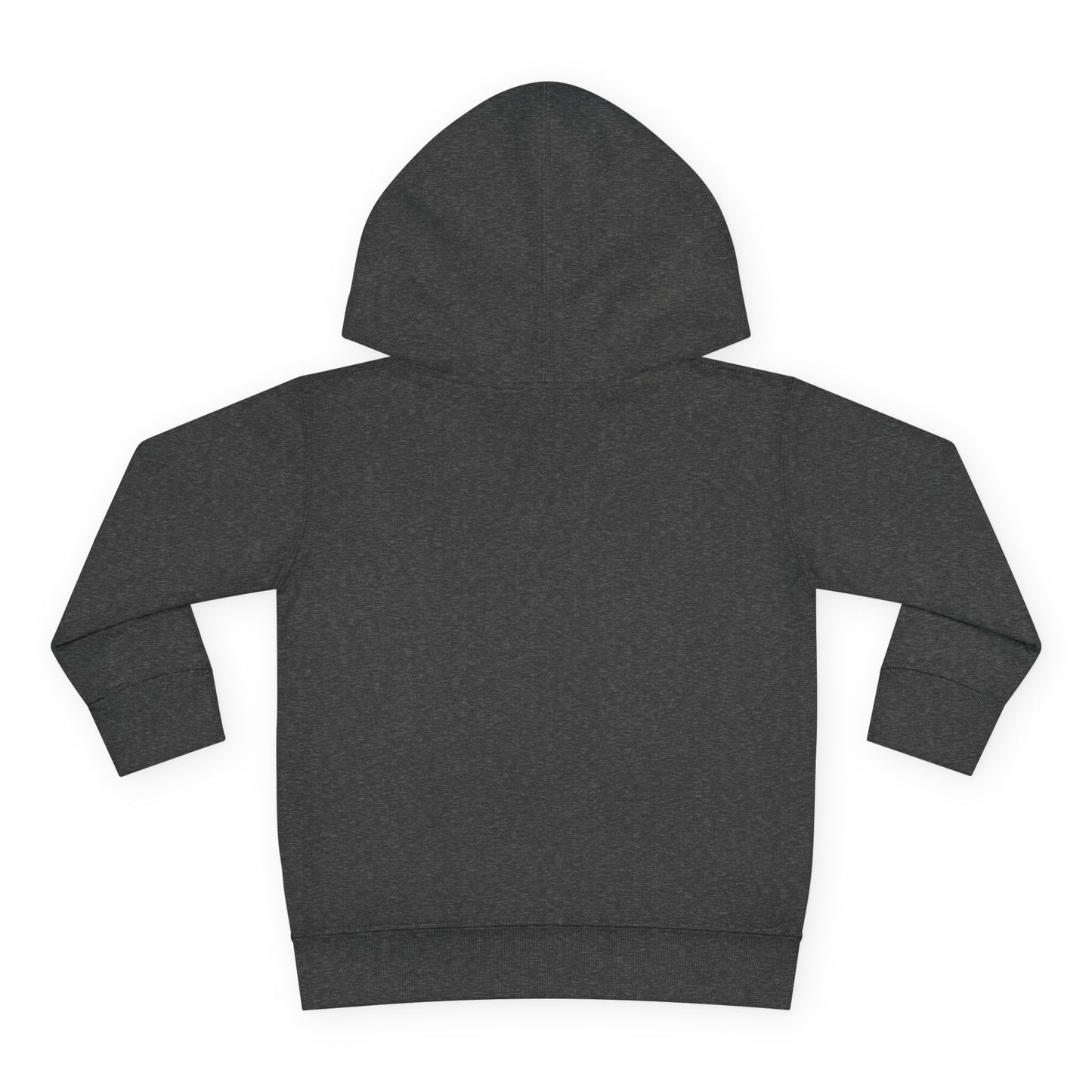 Black circle drift Toddler Pullover Fleece Hoodie